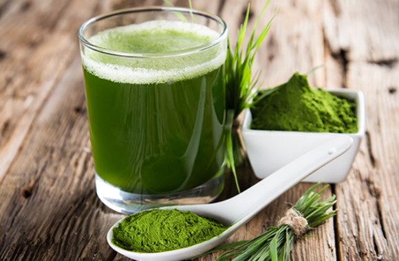 Você conhece a Spirulina?