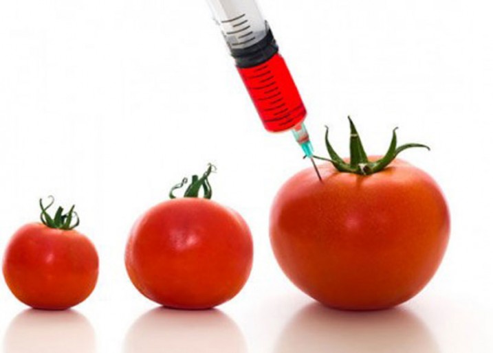 O que são alimentos transgênicos? Andrezza Botelho Nutrição Inteligente O que são alimentos transgênicos? Andrezza Botelho Nutrição Inteligente